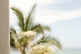 Katana Triplett Photography