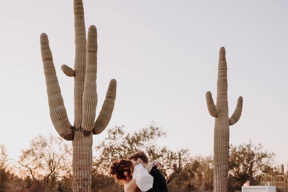 Saguaro Basin