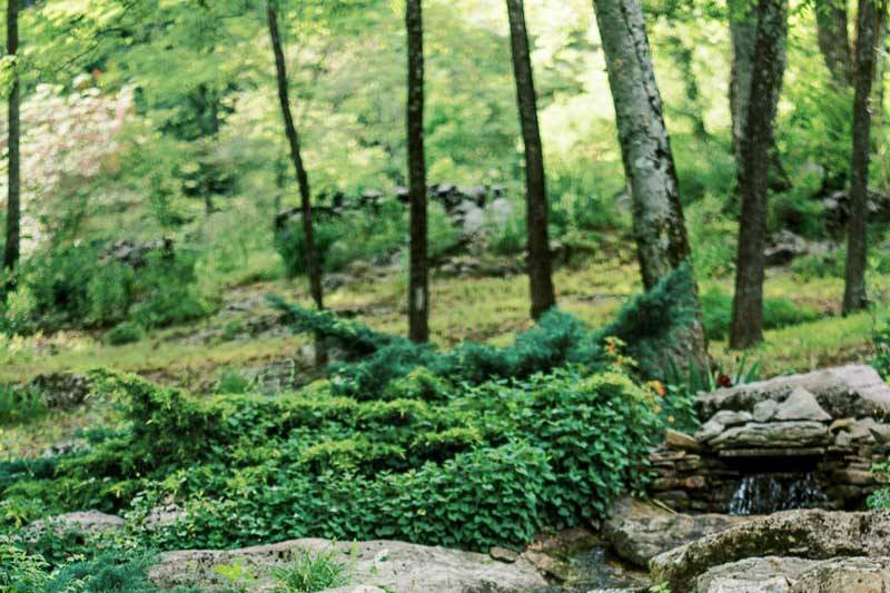 Waterfall near ceremony site