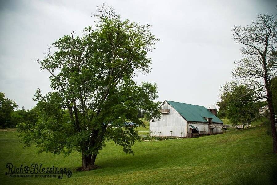 Barn at Wildwood Springs