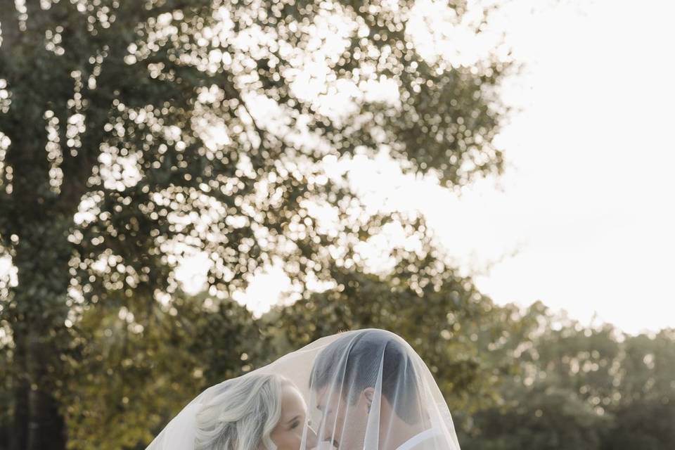 Veil picture