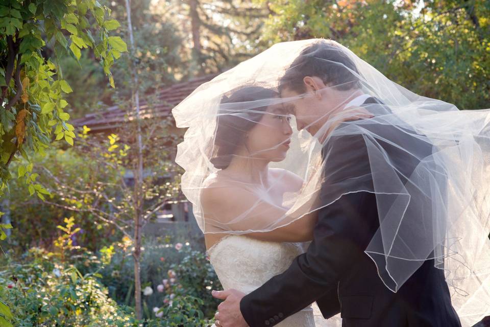 Wedding kiss