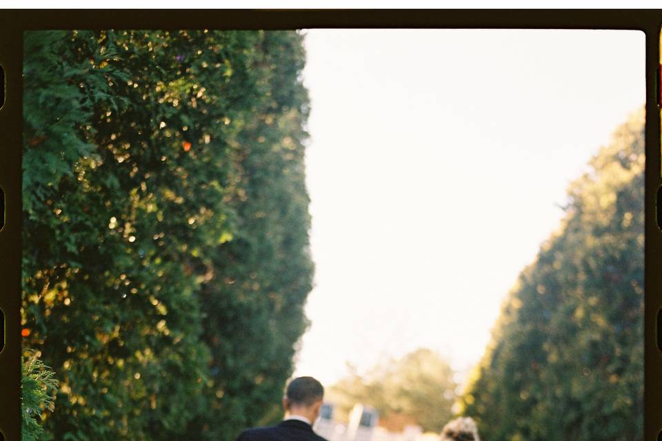 Romantic Gardens