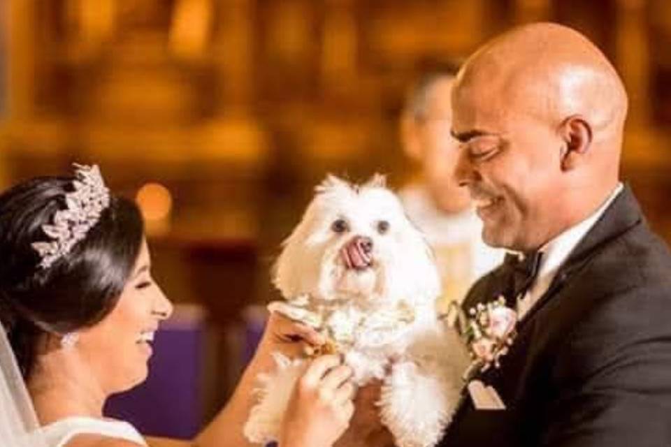 Pet friendly wedding.