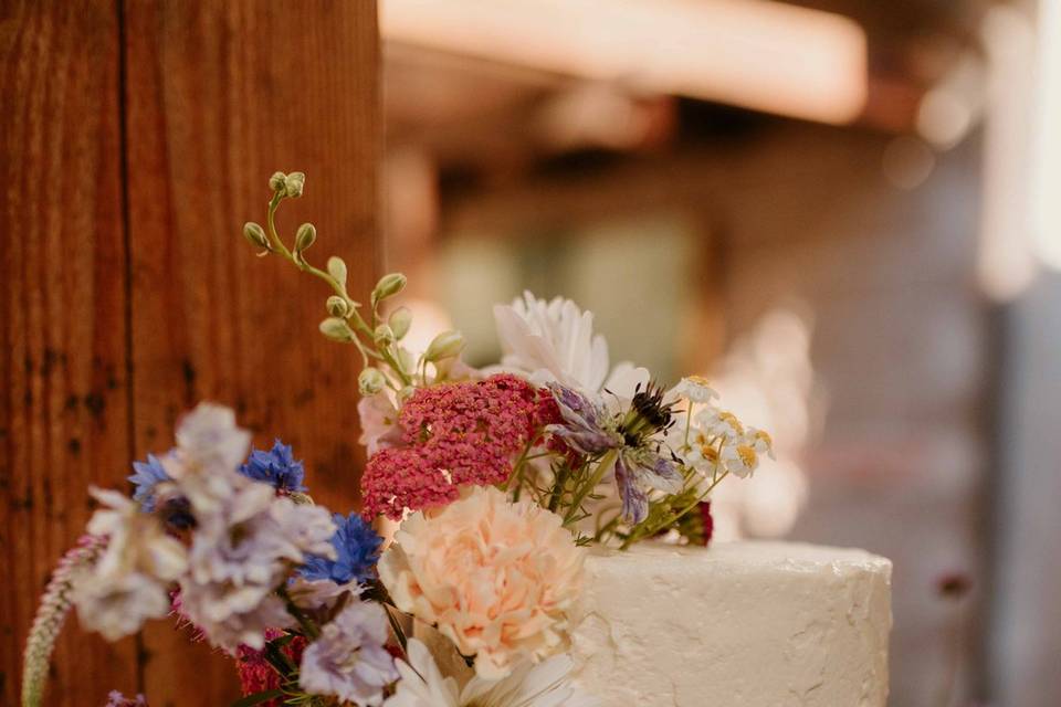 Colorful Wedding at Pisgah