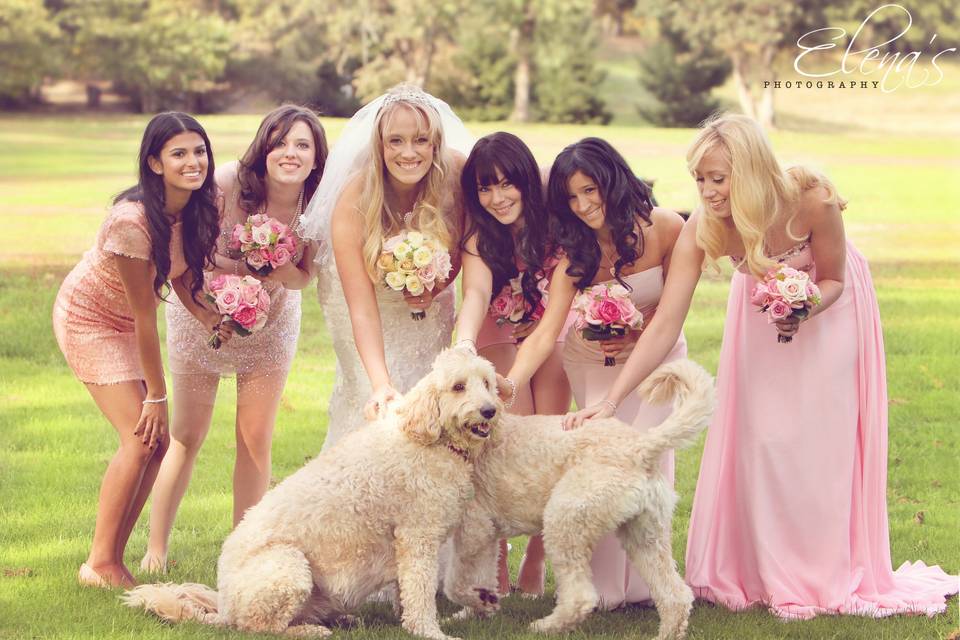 Bridal Party Photos.