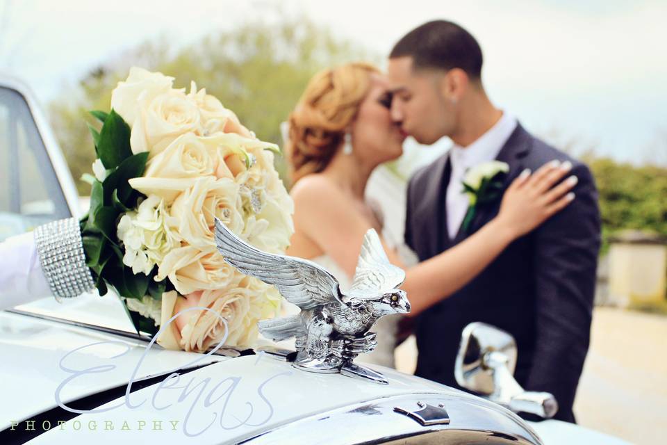 Bridal Portraits.
