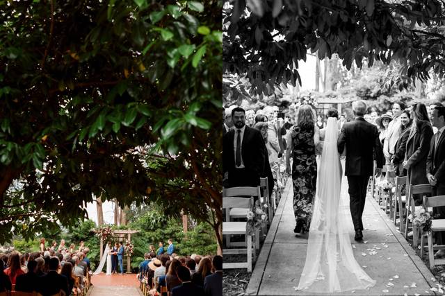 Abby E Kane Photography