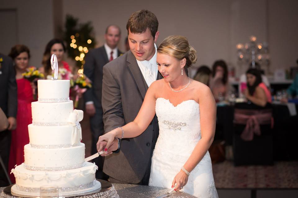 Cake Cutting