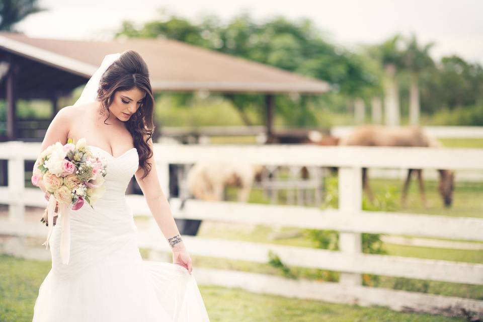 Joaquin Jaraba Photography