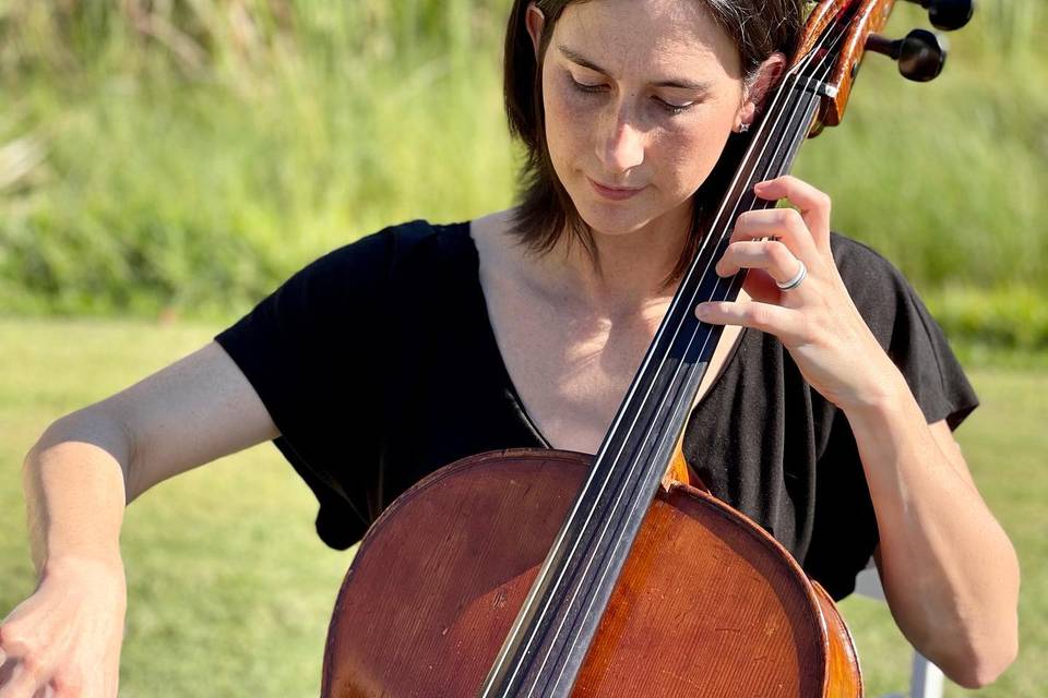 String Trio Omni Amelia Island