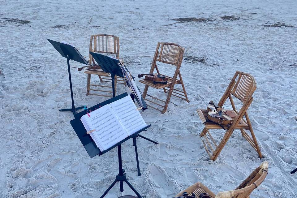 String Quartet Jax Beach