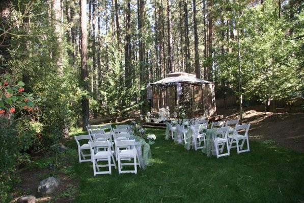 Bears get married in Big Bear, mock wedding