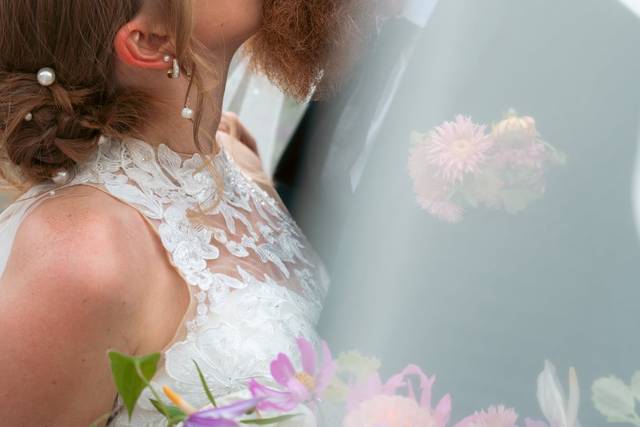 Luthy Botanical Garden veil sh