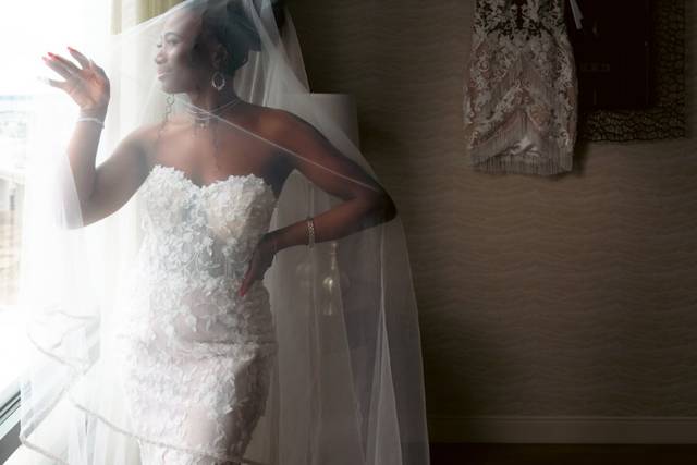 Bride under veil Milwaukee