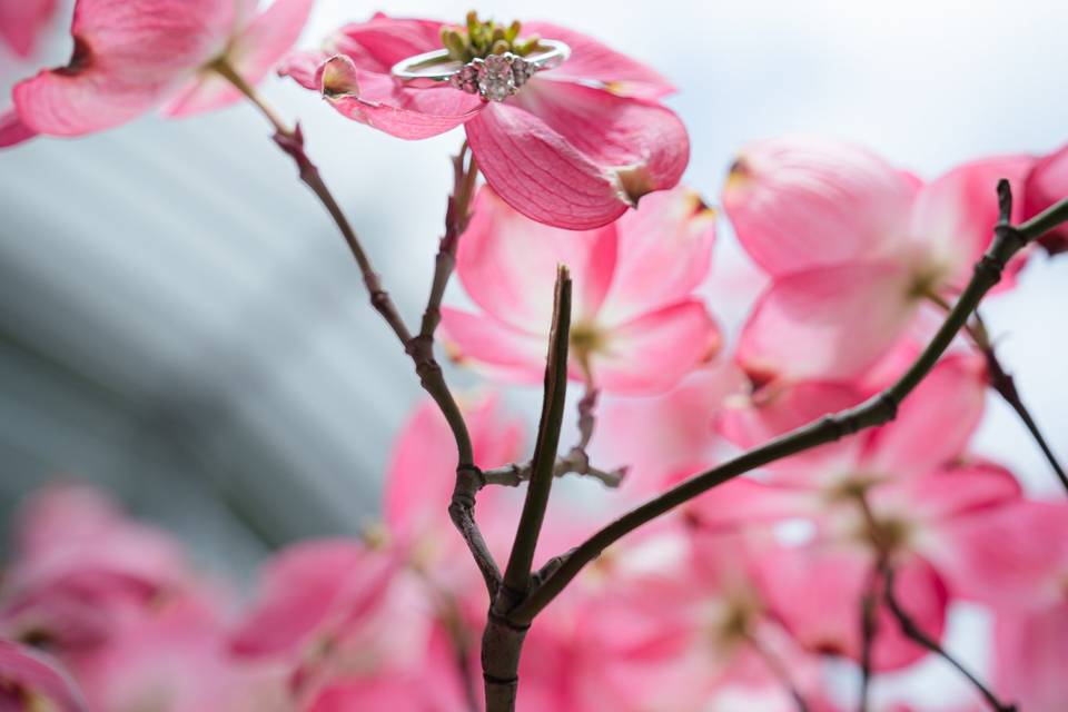 IWU blossom ring