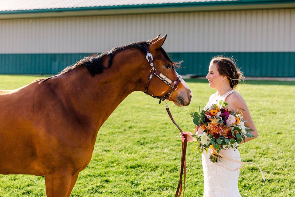 Bride with her horse