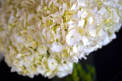 Floral centerpiece