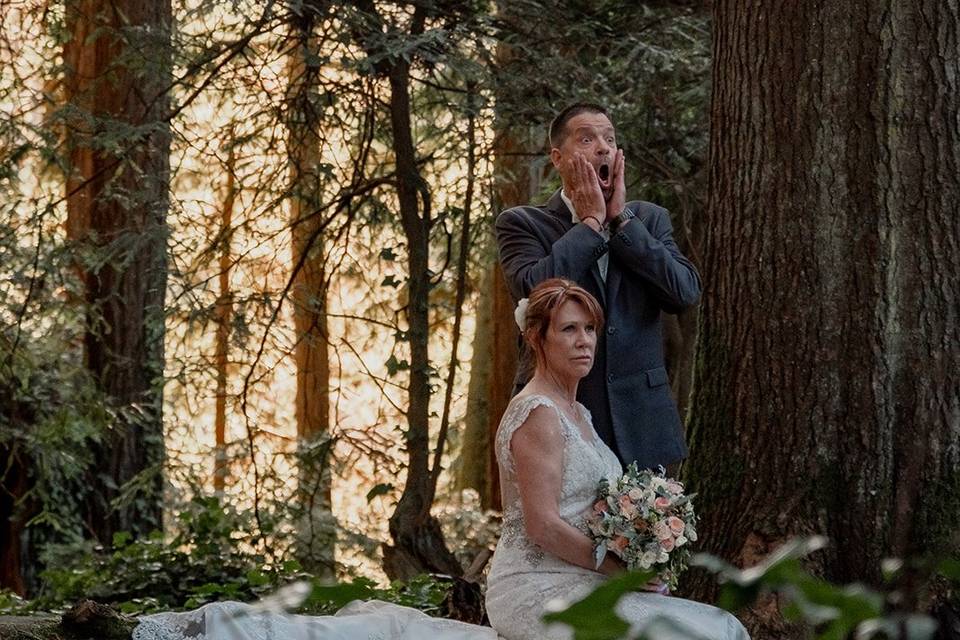 Redwood Weddings