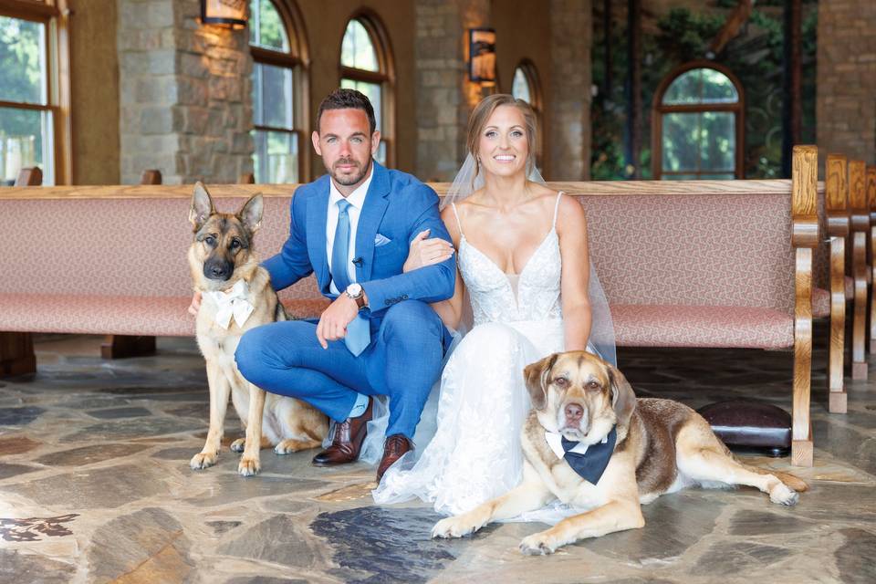 Bride and groom with dogs