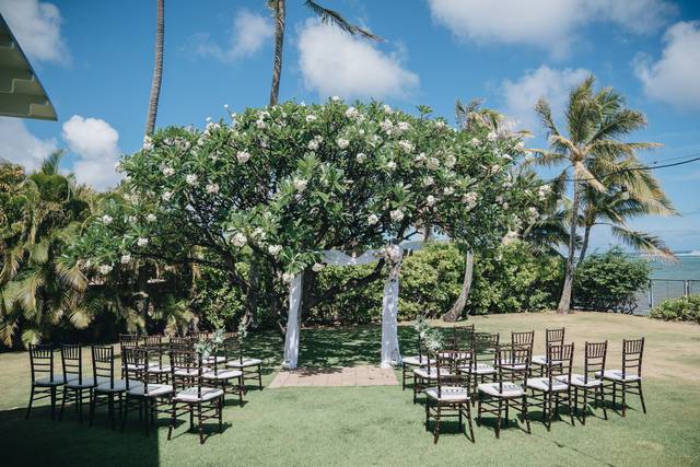 YegrinaHawaii LLC