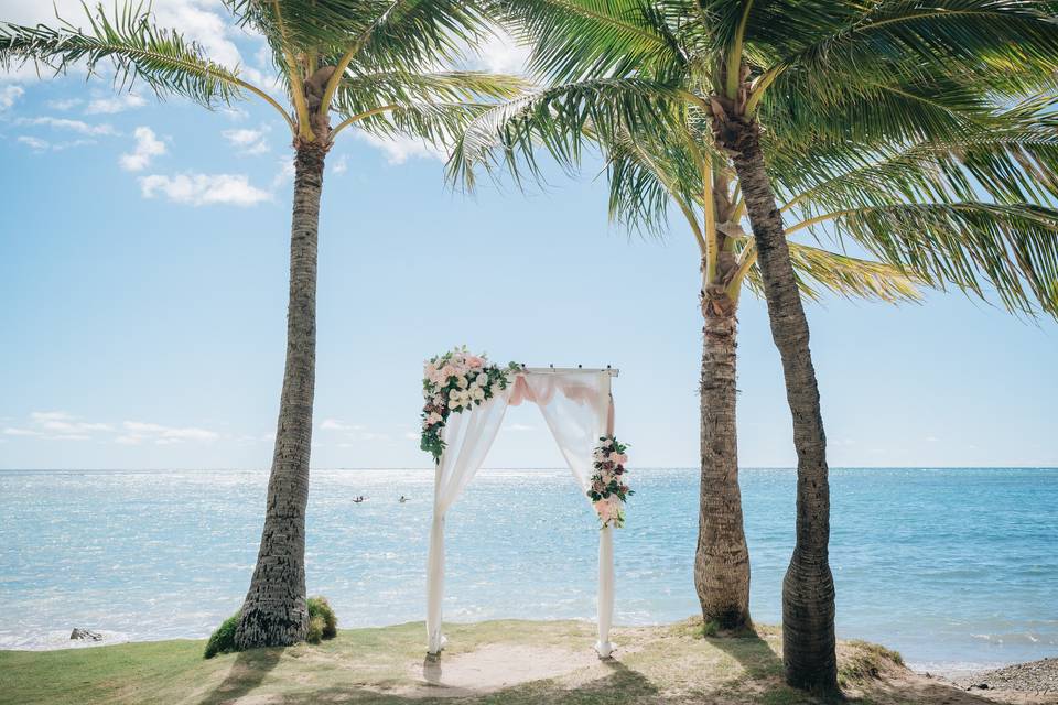 Public beach wedding