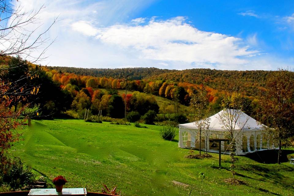 Turquoise Barn