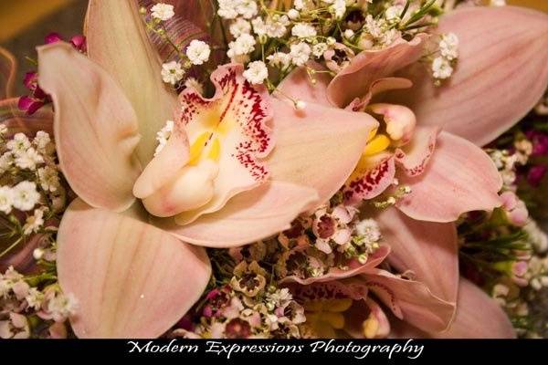 Modern Expressions Photography