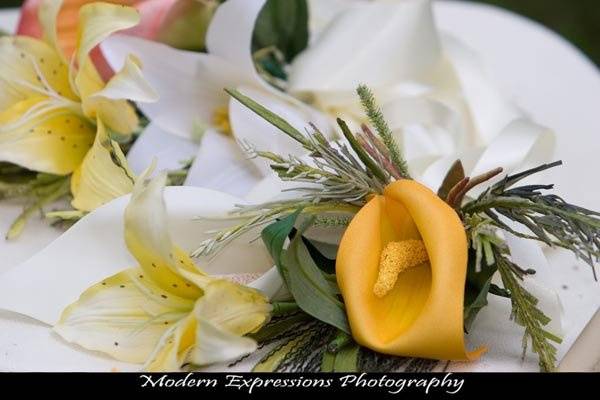 Modern Expressions Photography