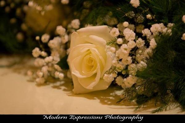 Modern Expressions Photography