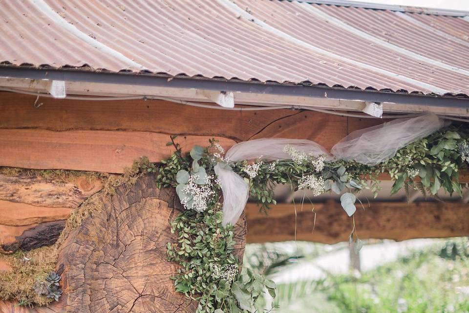 Events by K. Ann
