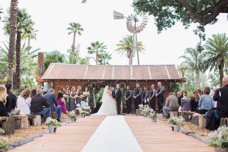 Events by K. Ann