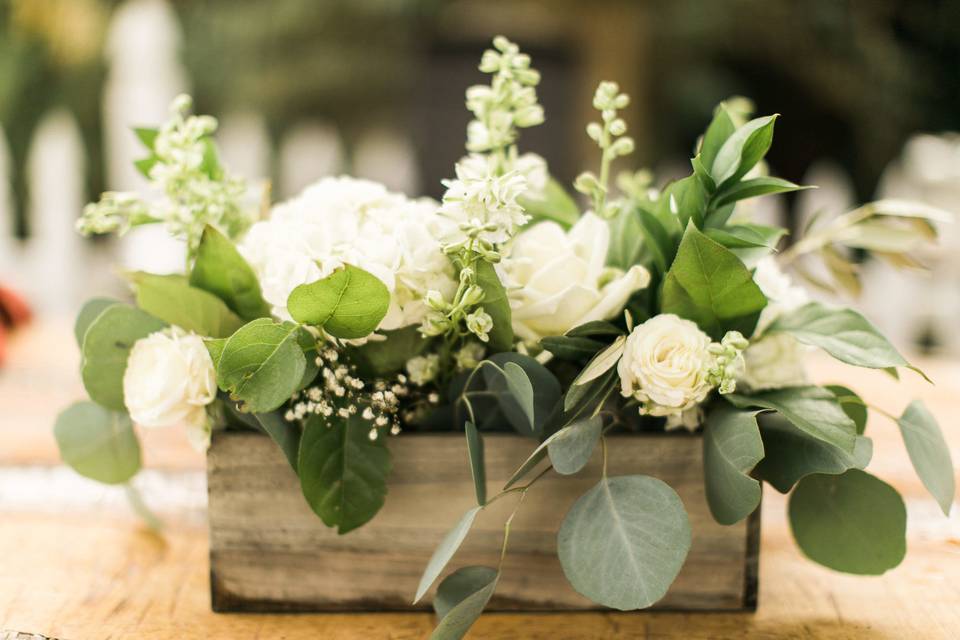 Events by K. Ann