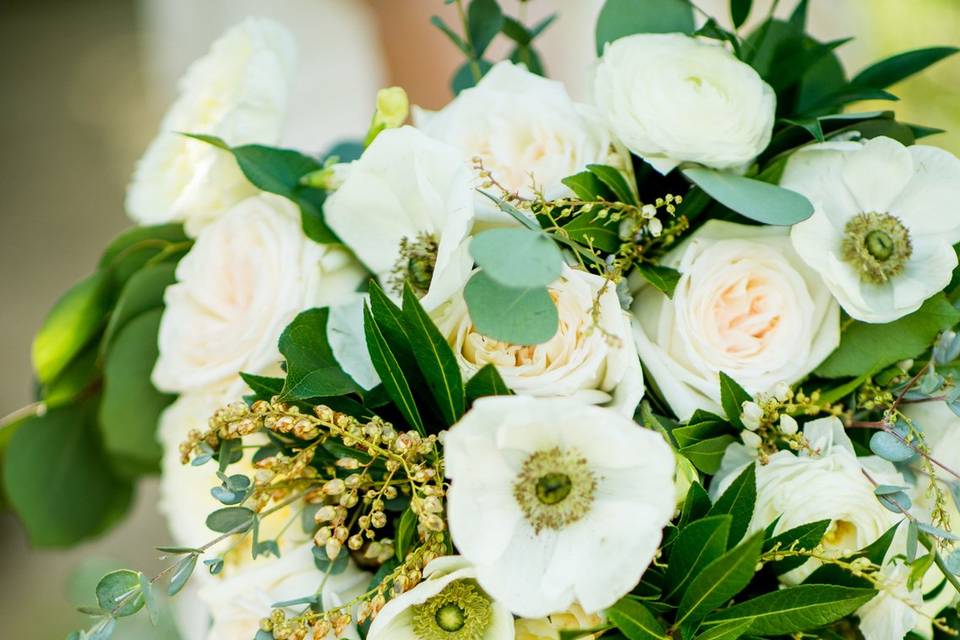 Events by K. Ann