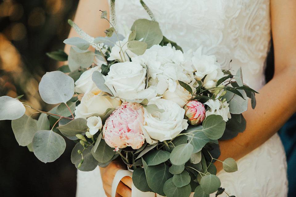 Events by K. Ann