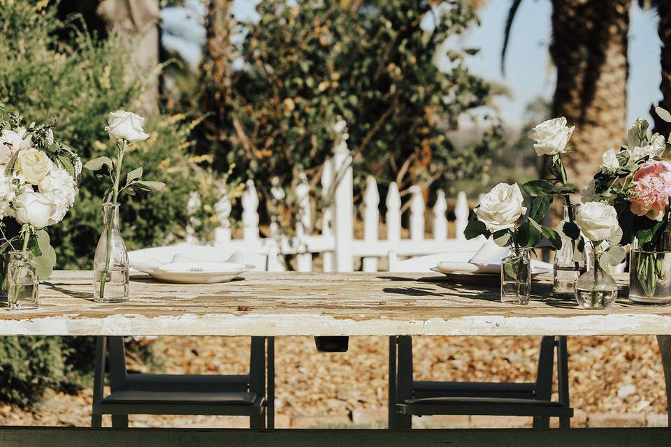 Events by K. Ann