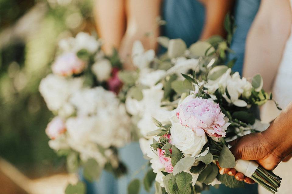 Events by K. Ann