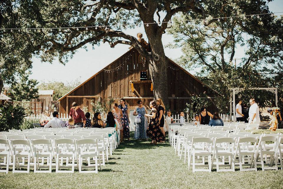 Events by K. Ann