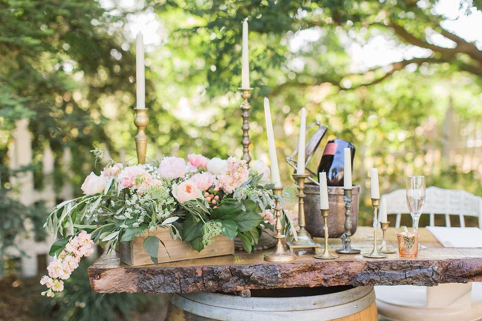 Events by K. Ann