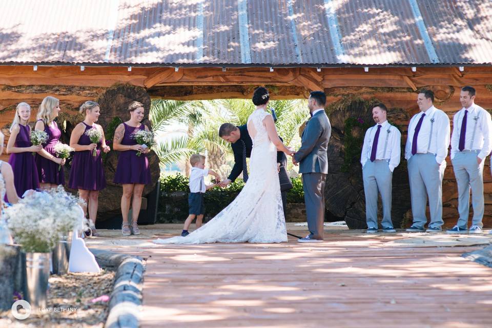 Events by K. Ann