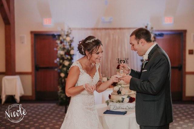 Cake Cutting