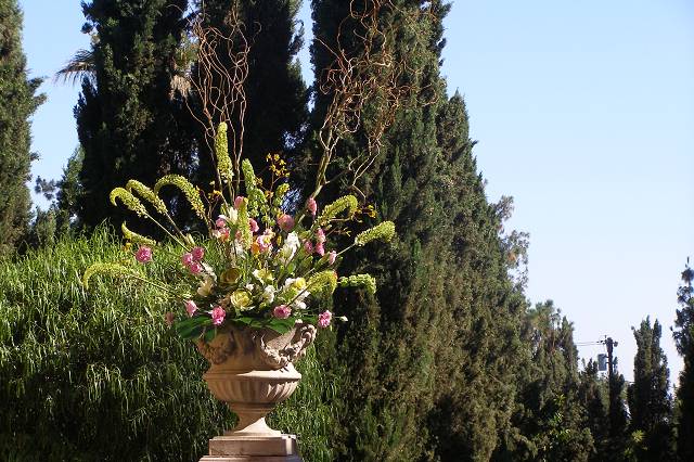 Venue Flowers