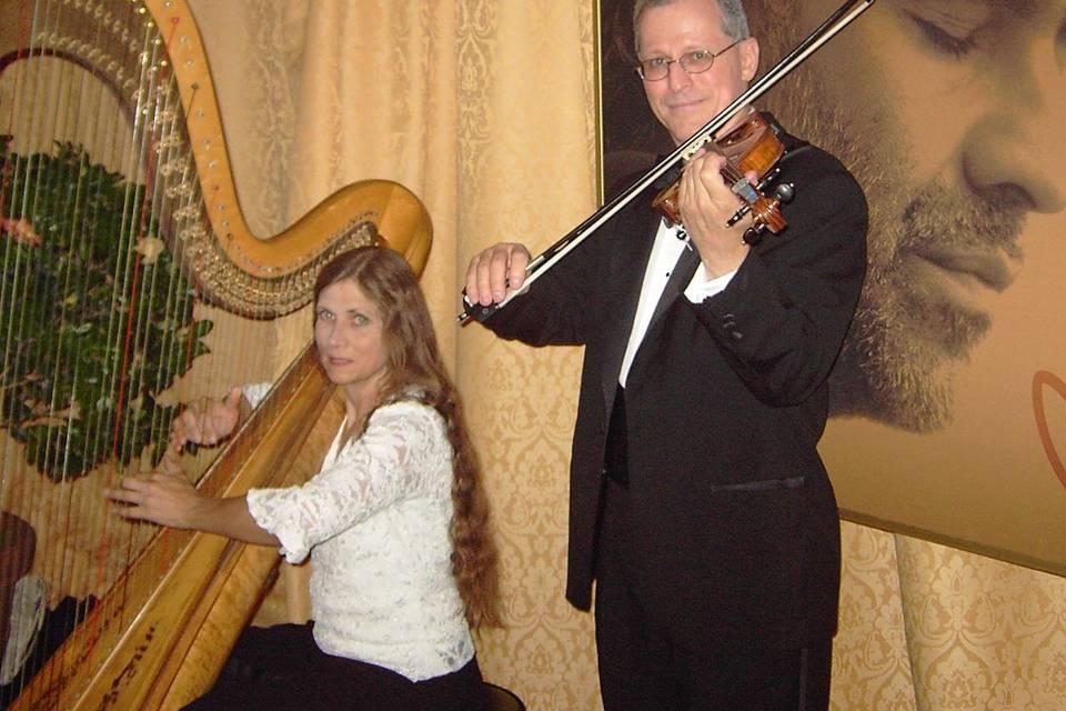 Violinist Don Allen