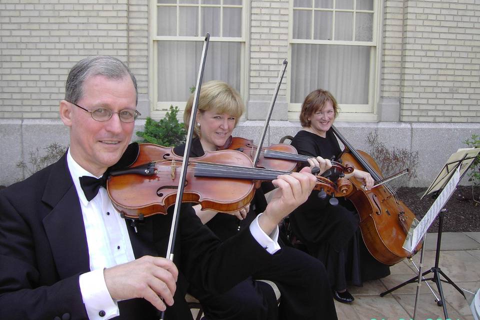 www.donallenstrings.com