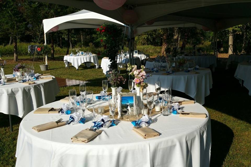 Table setup with centerpiece