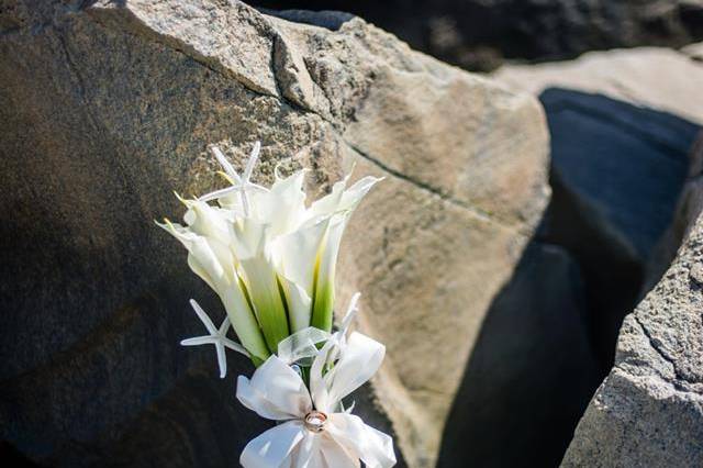 Cala lily flowers