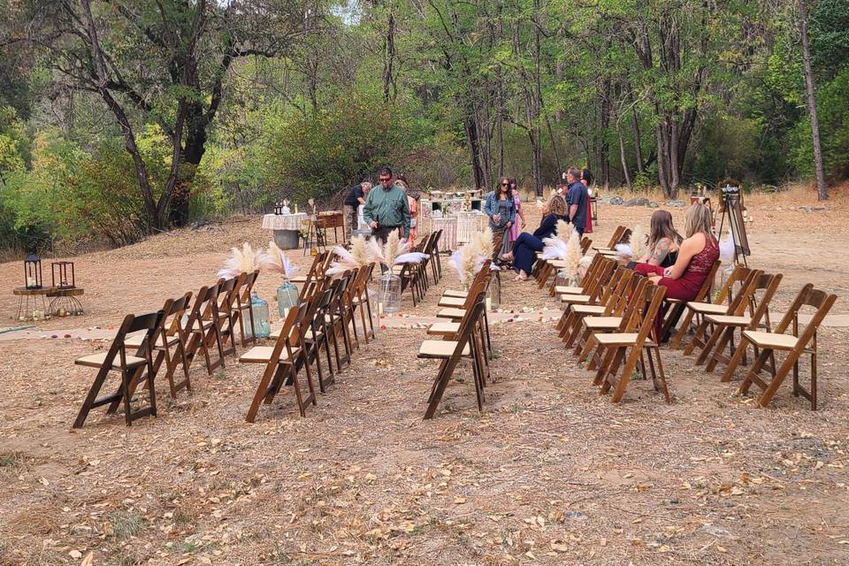 Wedding Guests