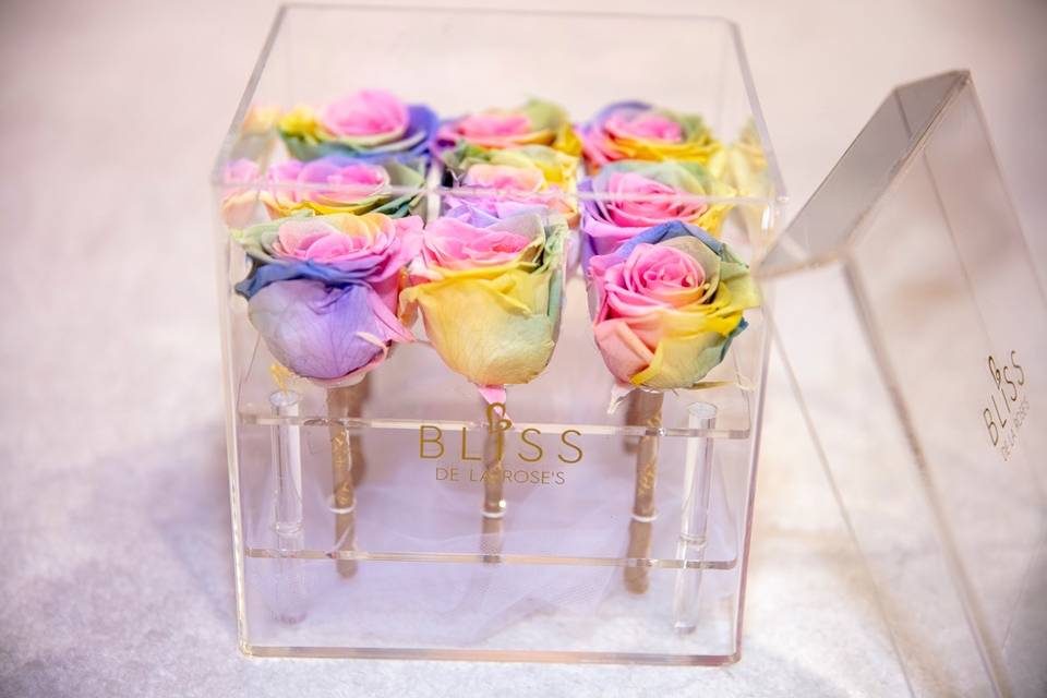 Clear box of colored roses