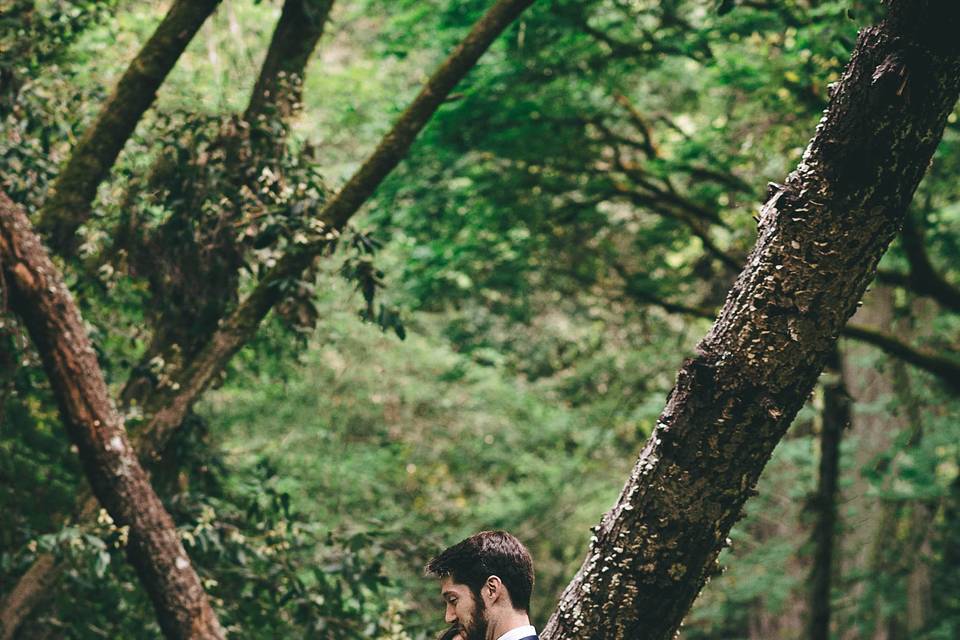 Monterey-Big-Sur-Redwood-Weddi