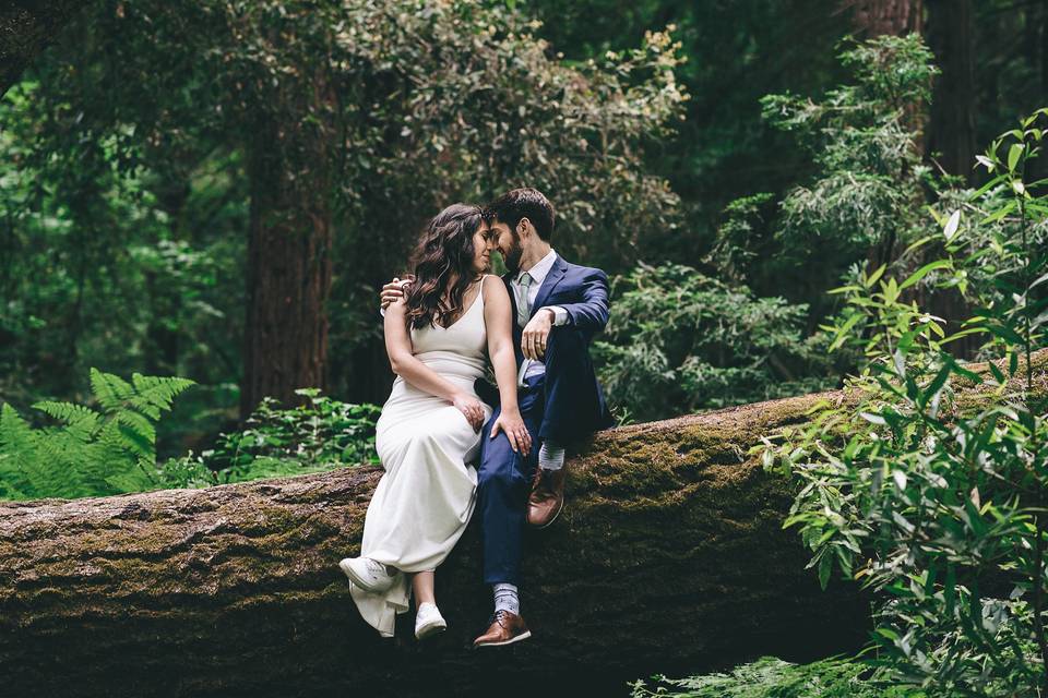 Redwood-Big-Sur-Wedding-Photog